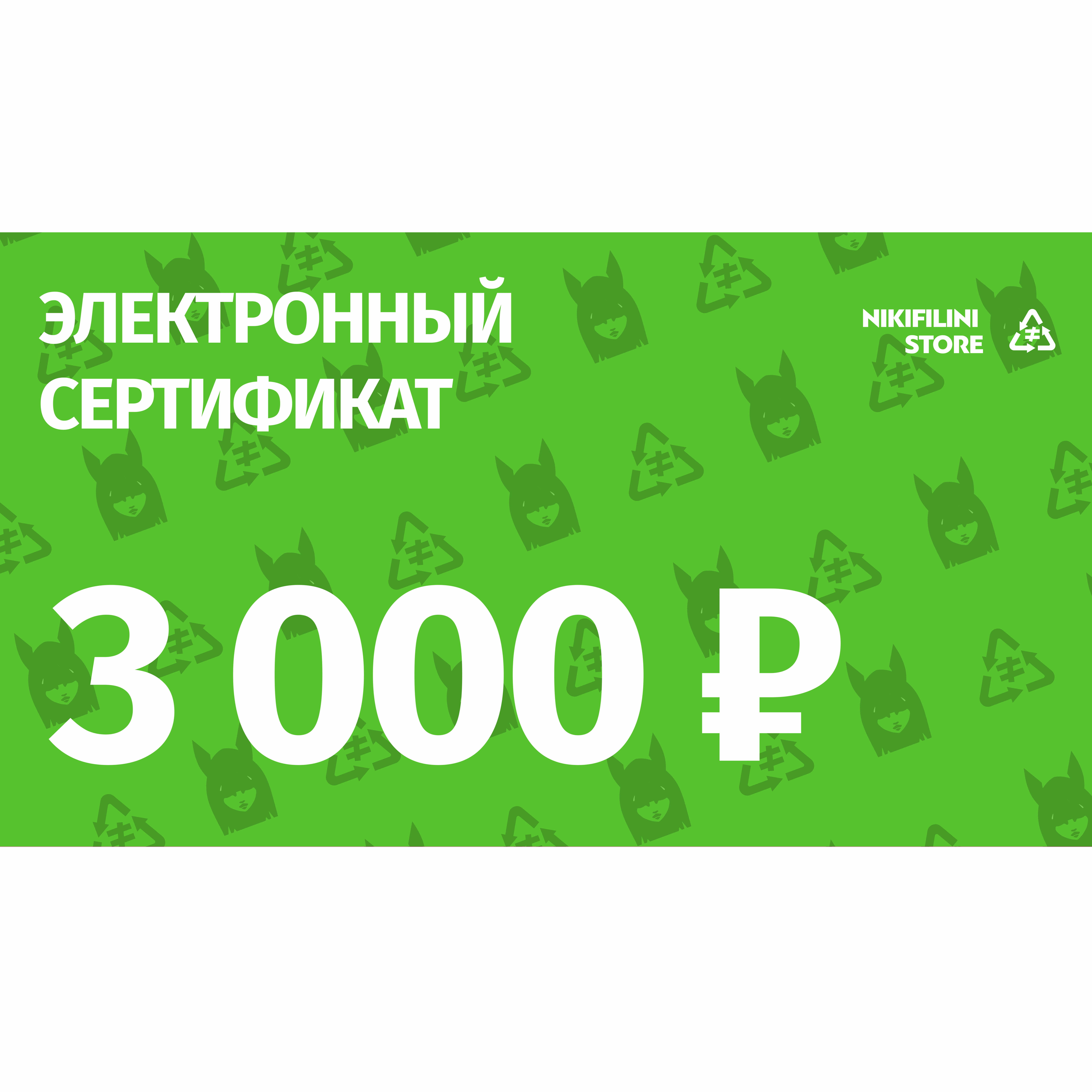 3000